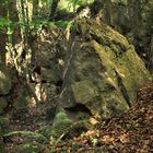 Ein richtig dicker Brocken im Felsenmeer 