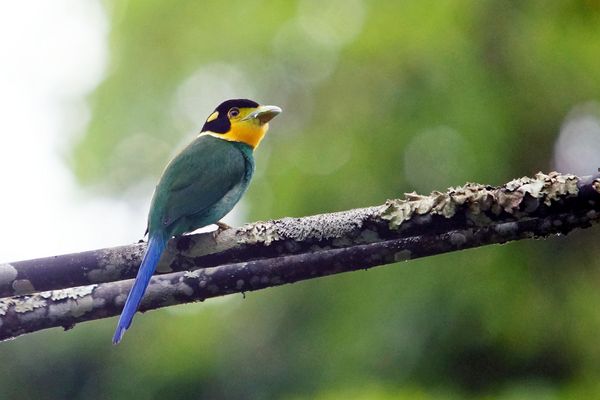 Ein richtiger Prachtkerl...