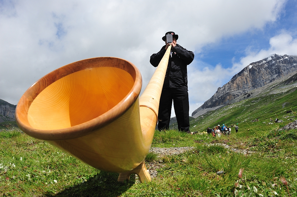 Ein riesen Horn