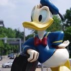 Ein riesiger Donald Duck geht auf Reisen