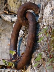 ein Ring für die Ewigkeit