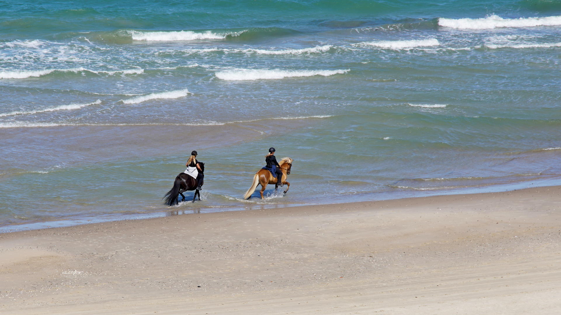 Ein Ritt durch die    Nordsee