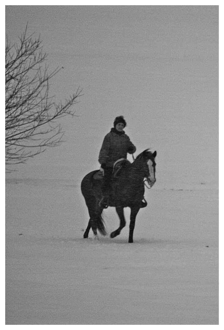 Ein Ritt im Schnee