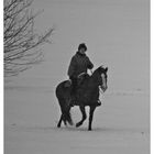 Ein Ritt im Schnee