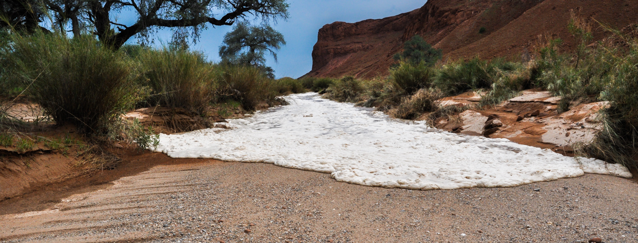 Ein Rivier in der Namib beginnt zu laufen