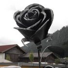 ein Rose aus Eisen in St. Martin