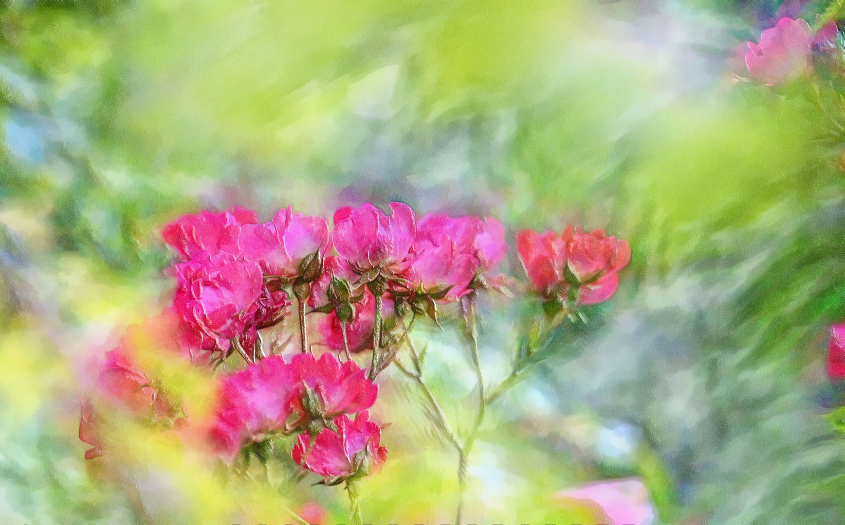 ein rosen blumen strauß voller farben ...