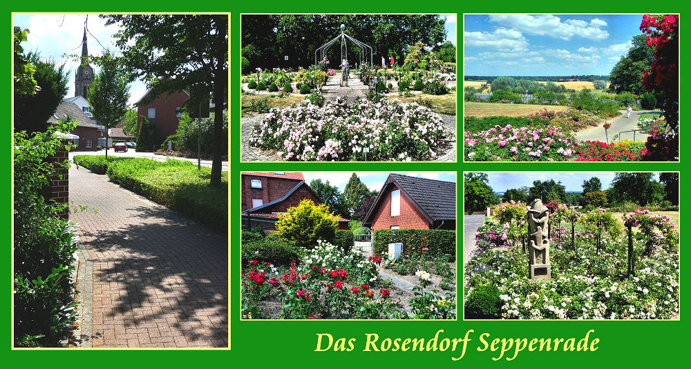 Ein Rosendorf