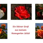 Ein Rosengruß aus meinem Garten