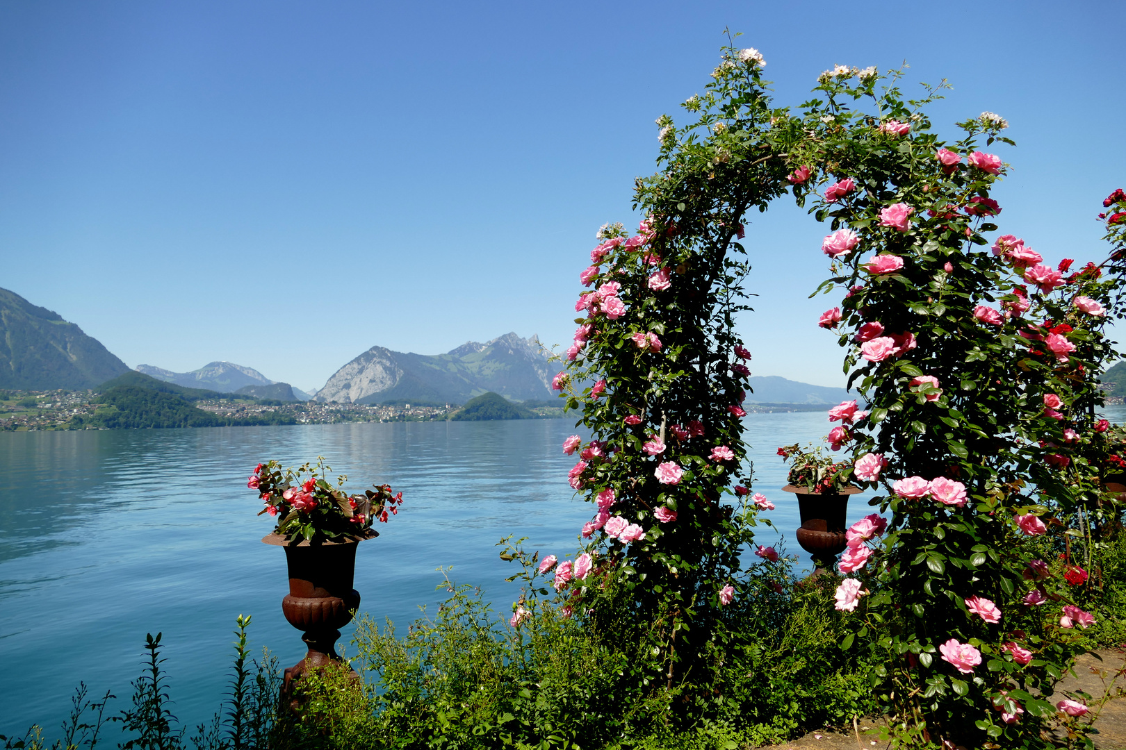 °°°° Ein Rosentraum am See°°°°