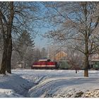 Ein „roter Brummer“ im verschneiten Mügelner Stadtpark