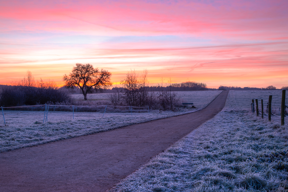 Ein roter Morgen