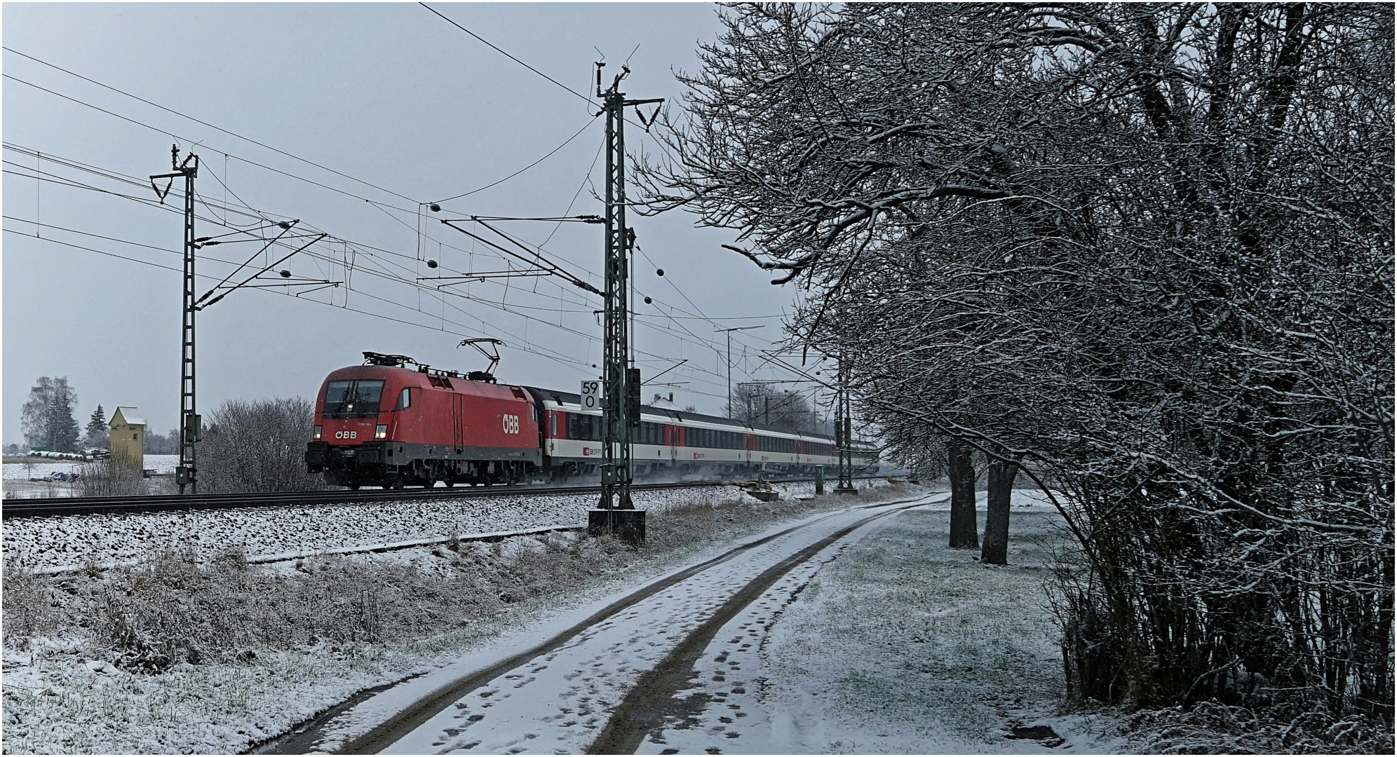 Ein roter Stier