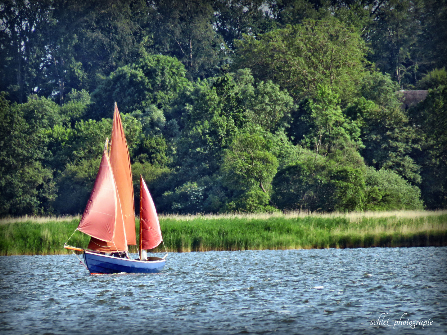 ein rotes Segel auf der Schlei