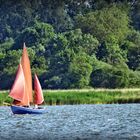 ein rotes Segel auf der Schlei