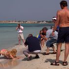 Ein "Rudel" am Strand