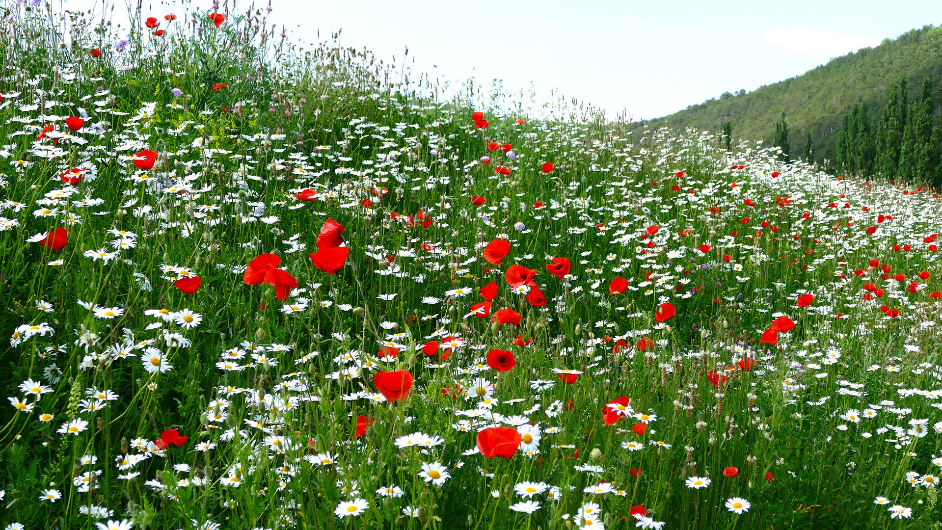 Ein Rückblick auf den Sommer