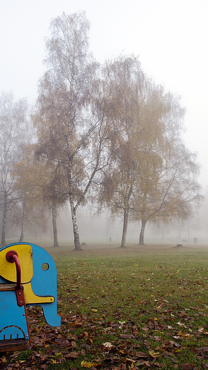 ein rüsseltier im herbst unterwegs