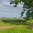 Ein Ruhepol in der Landschaft