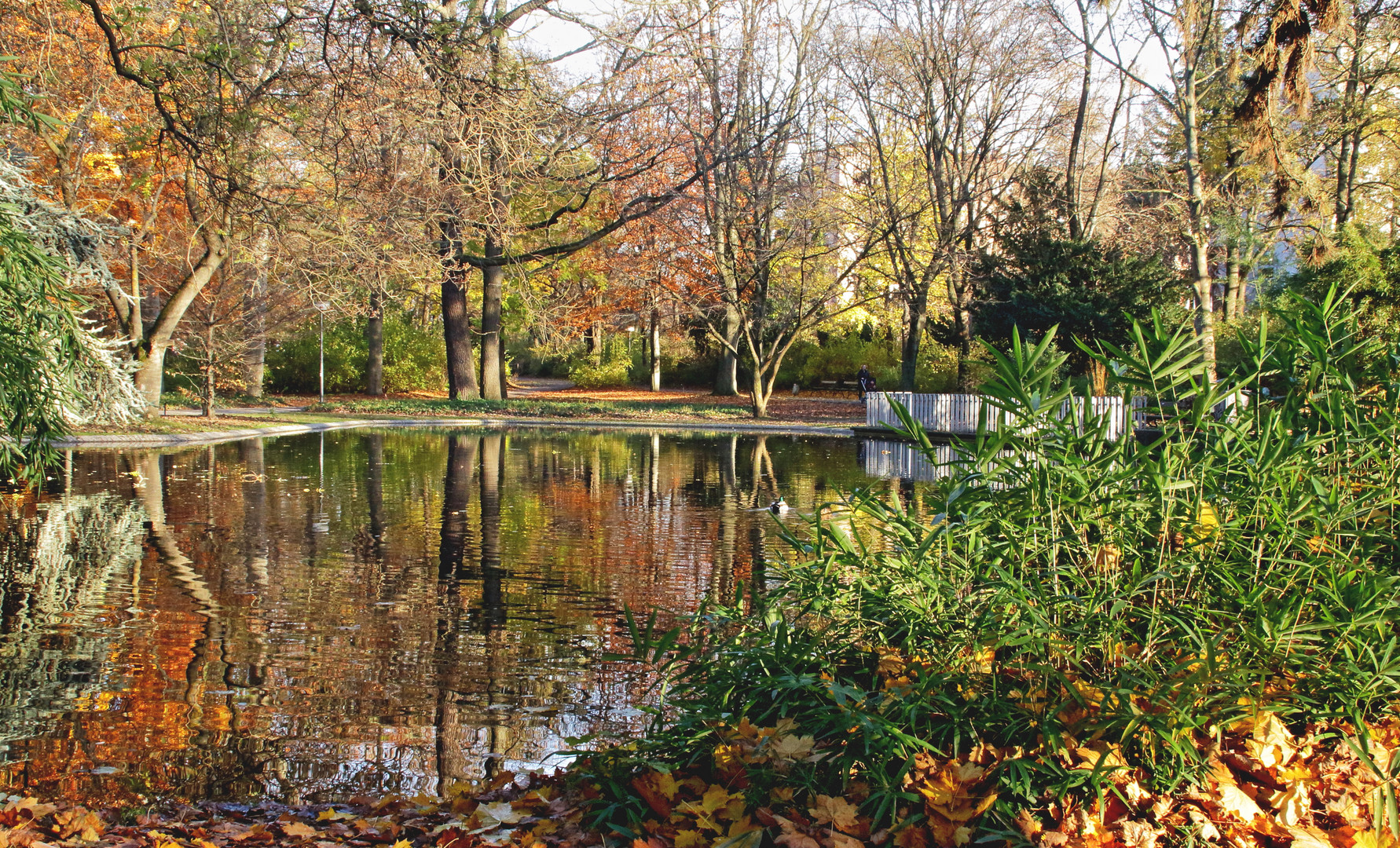 Ein Ruhepol in einem Teil vom Würzburger Ringpark