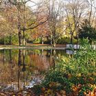 Ein Ruhepol in einem Teil vom Würzburger Ringpark