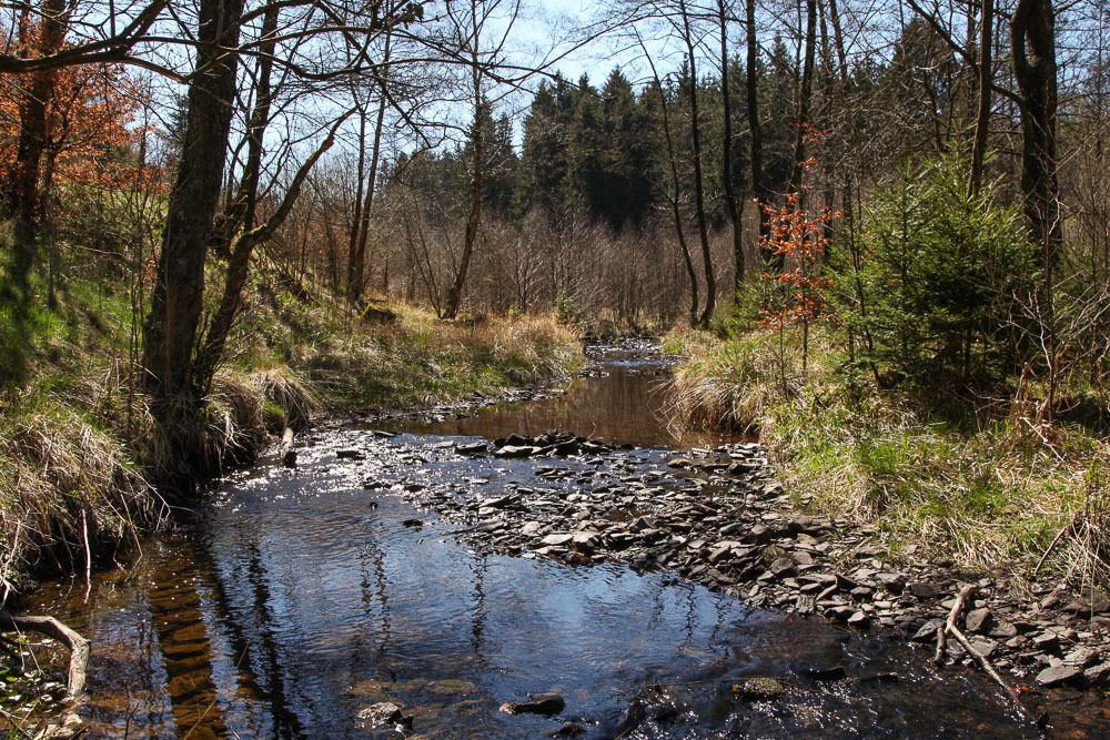 ein ruhiger Bachlauf in der Eifel