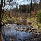 ein ruhiger Bachlauf in der Eifel