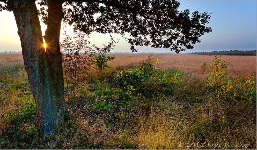 Ein ruhiger Herbstabend im Moor