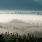 Ein ruhiger Herbstmorgen