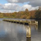 Ein ruhiger Herbsttag am See