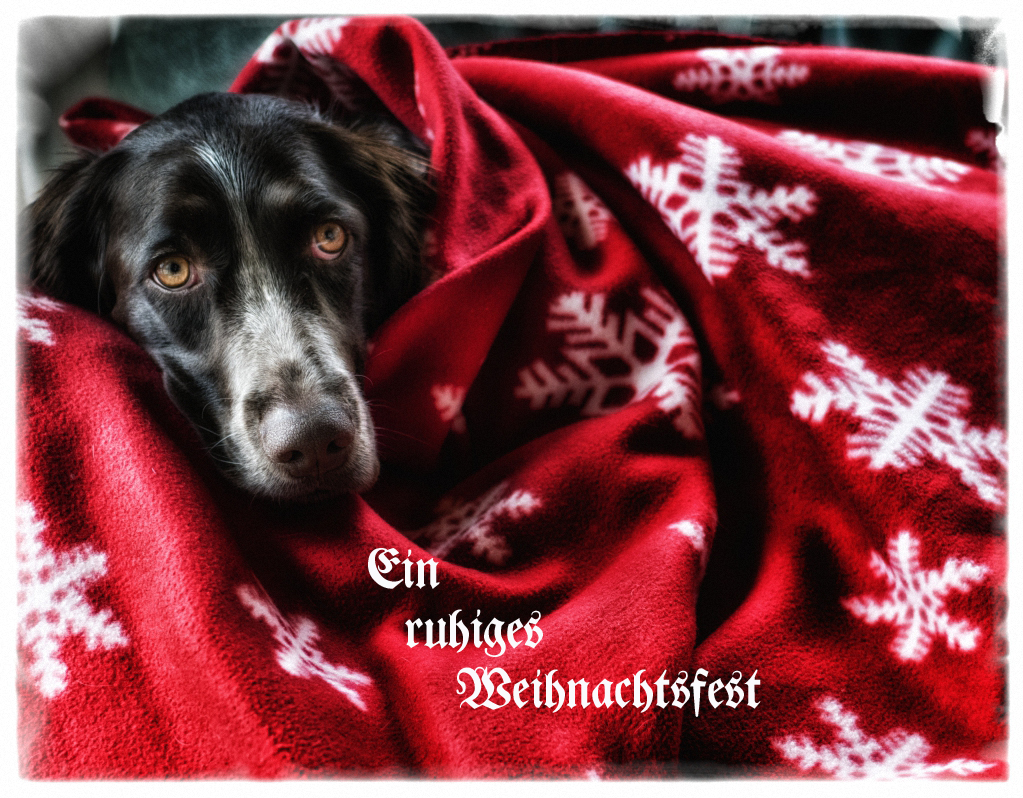 Ein ruhiges und besinnliches Weihnachtsfest