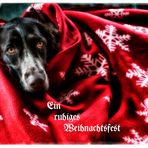 Ein ruhiges und besinnliches Weihnachtsfest