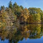 ein Rundgang um den Sahler Weiher 