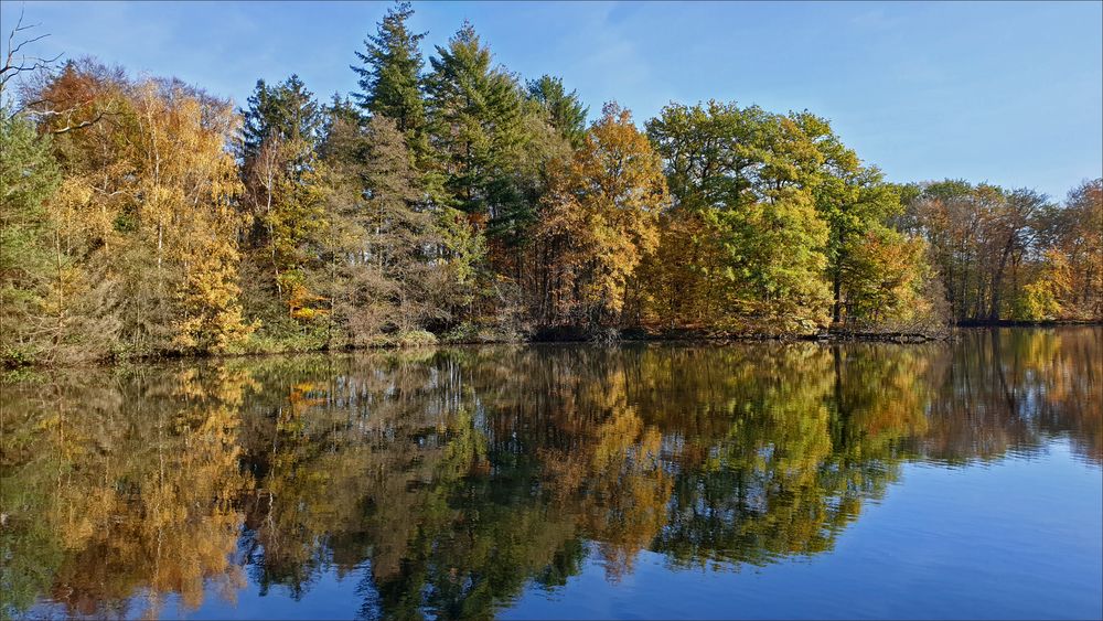 ein Rundgang um den Sahler Weiher 