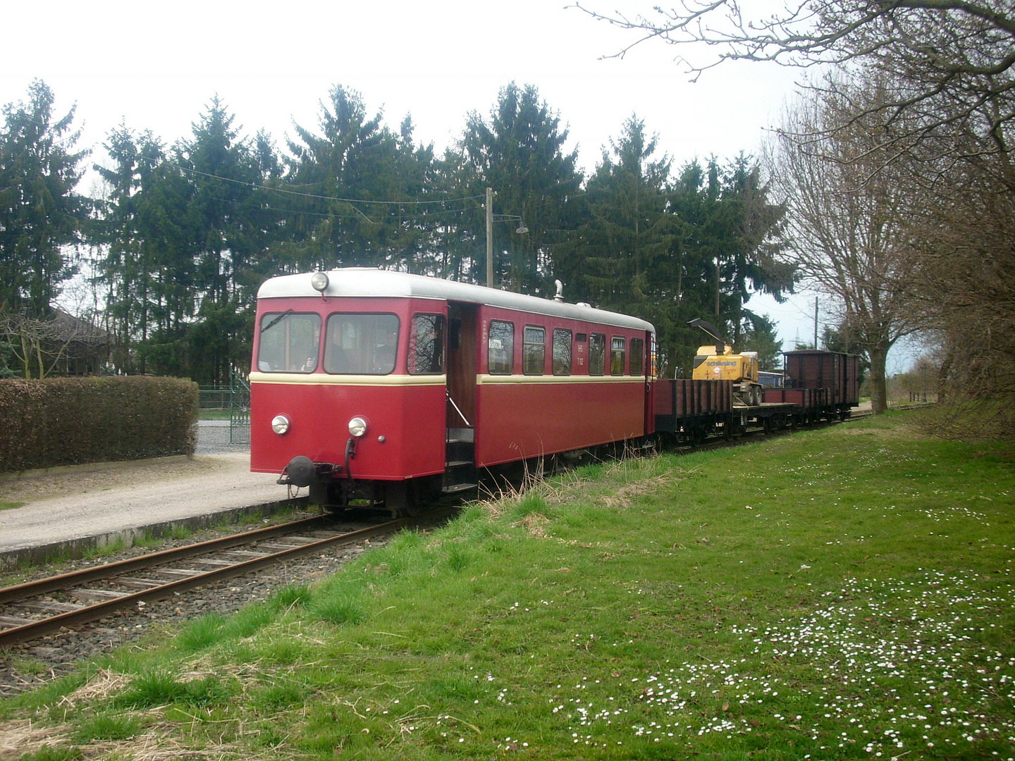 Ein Samstag im Grünen (1)