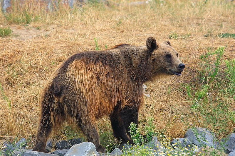 Ein Samstag in Alaska