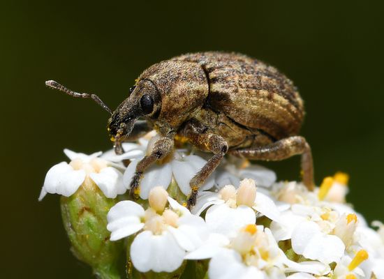 Ein Samstag ohne......