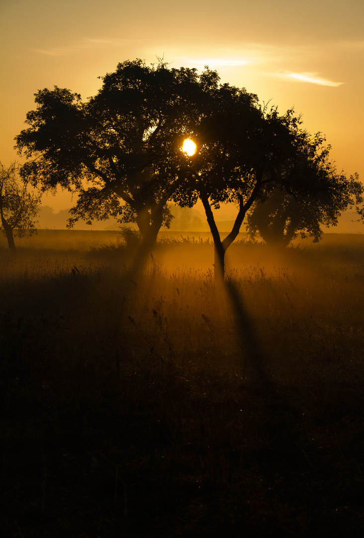 Ein Samstagmorgen