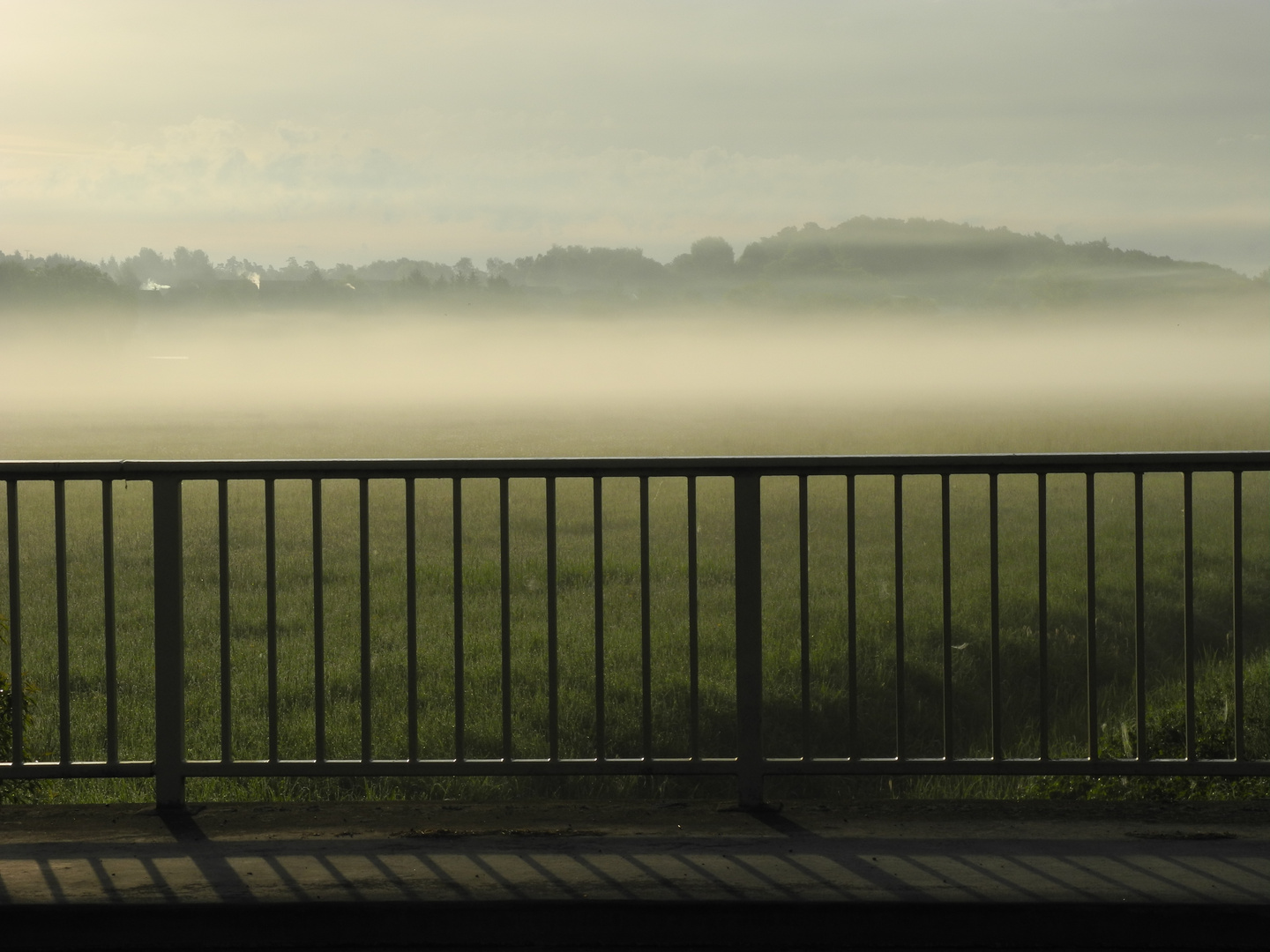 ein sanfter Nebelschleier getaucht in weiches Morgenlicht