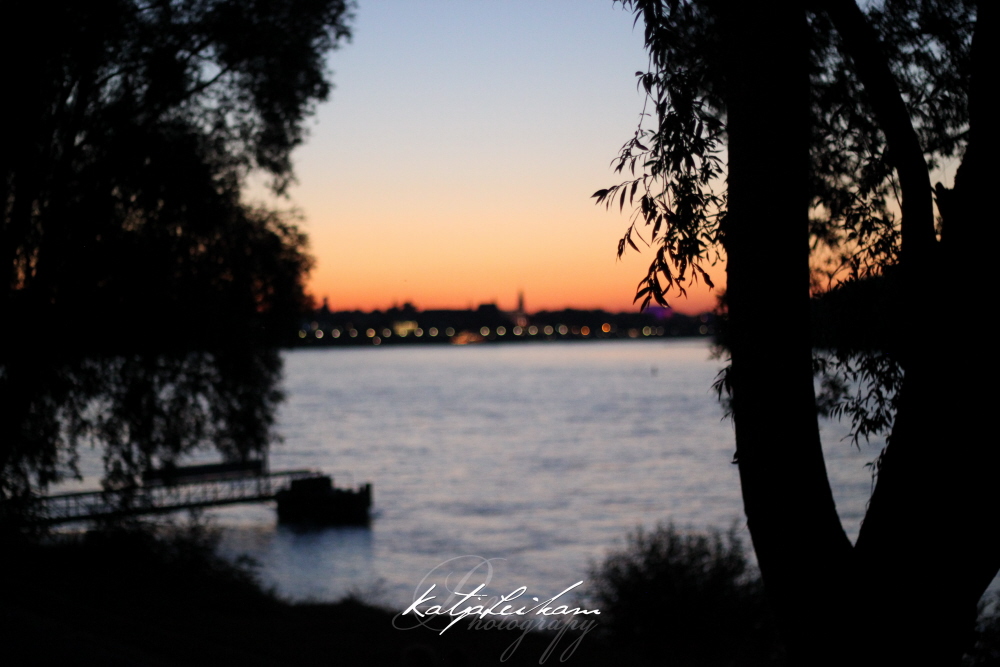 ein sanfter Sommerabend am Rhein