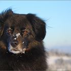 Ein Schäumchen Schnee