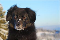 Ein Schäumchen Schnee