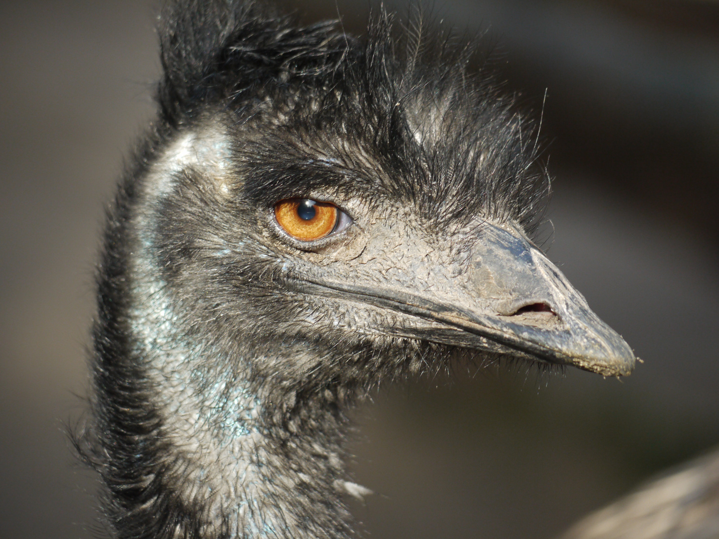 Ein scharfer Blick