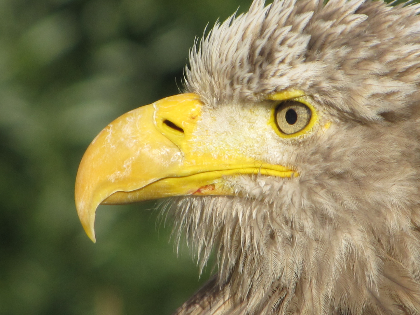 Ein scharfer Blick