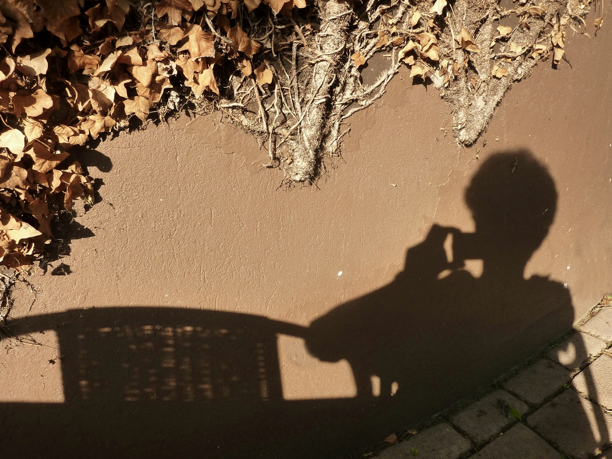 ein Schatten meiner Selbst