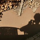 ein Schatten meiner Selbst