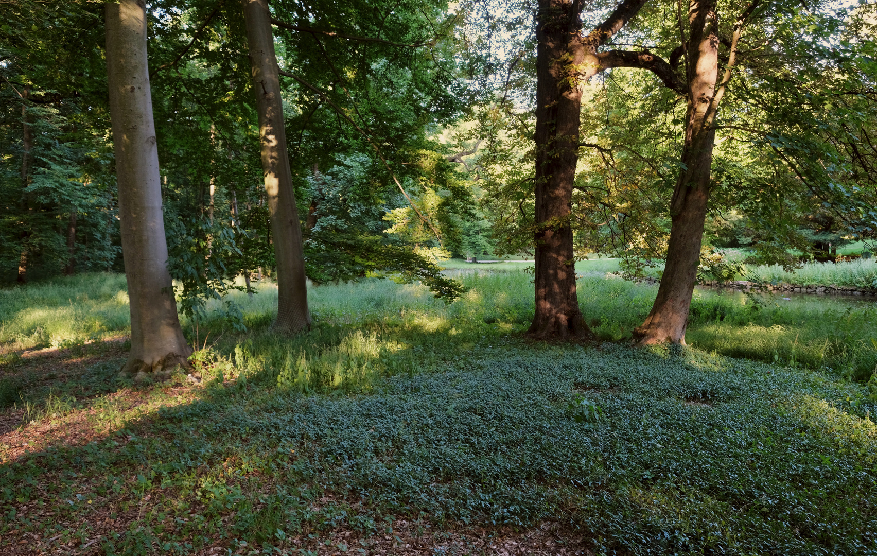 Ein schattiger Platz