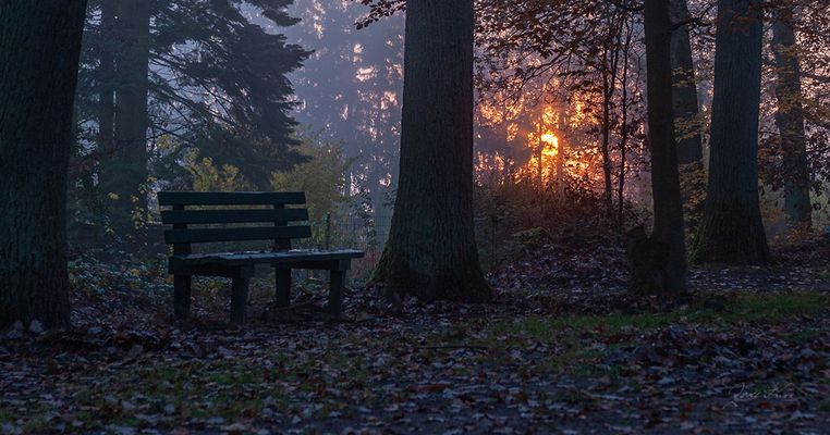 Ein schattiges Plätzchen