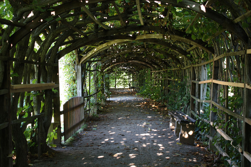 ein schattiges Plätzchen im Schlossgarten