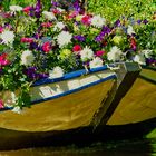 Ein Schiff mit Blumen